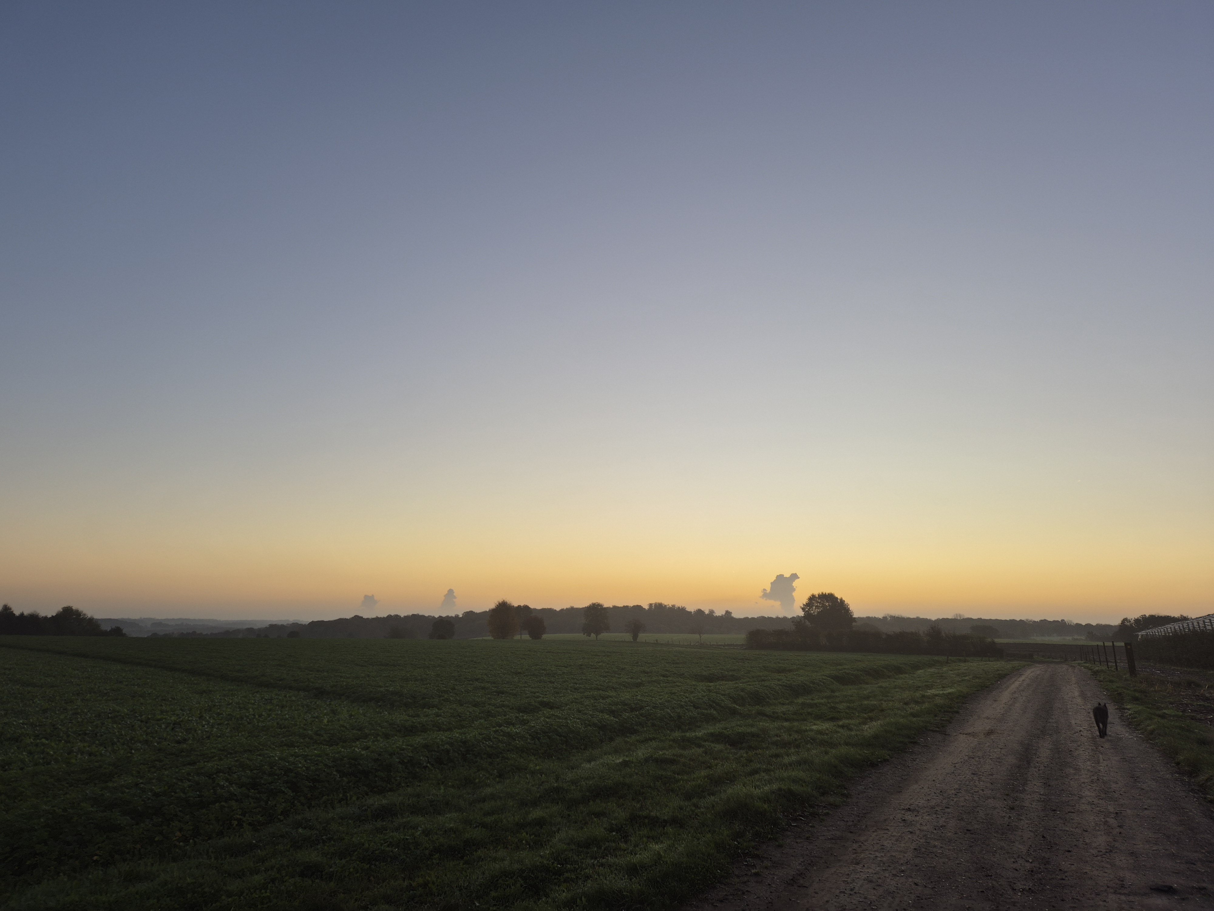 Wandeling in achtertuin